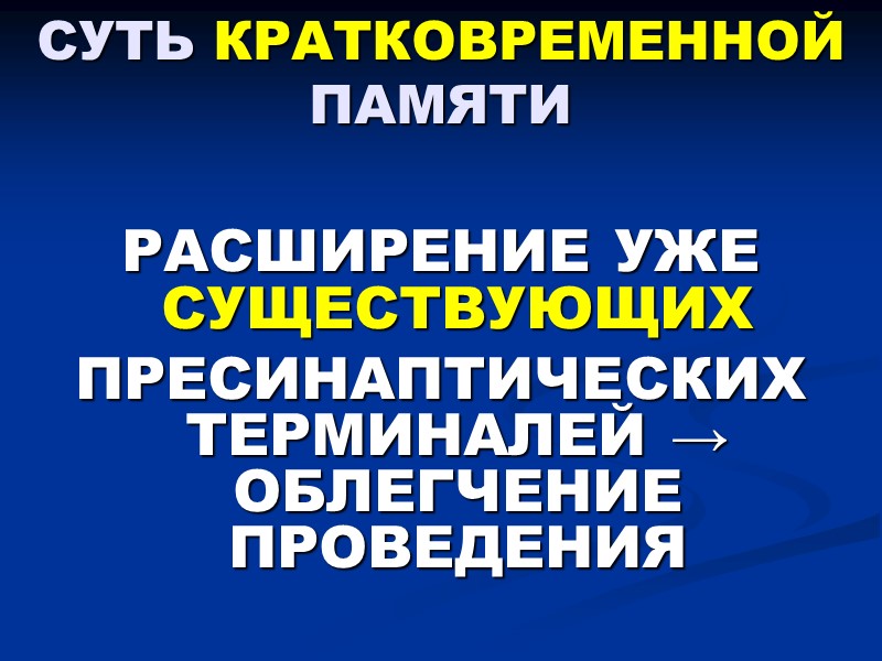 СУТЬ КРАТКОВРЕМЕННОЙ ПАМЯТИ  РАСШИРЕНИЕ УЖЕ СУЩЕСТВУЮЩИХ  ПРЕСИНАПТИЧЕСКИХ ТЕРМИНАЛЕЙ → ОБЛЕГЧЕНИЕ ПРОВЕДЕНИЯ